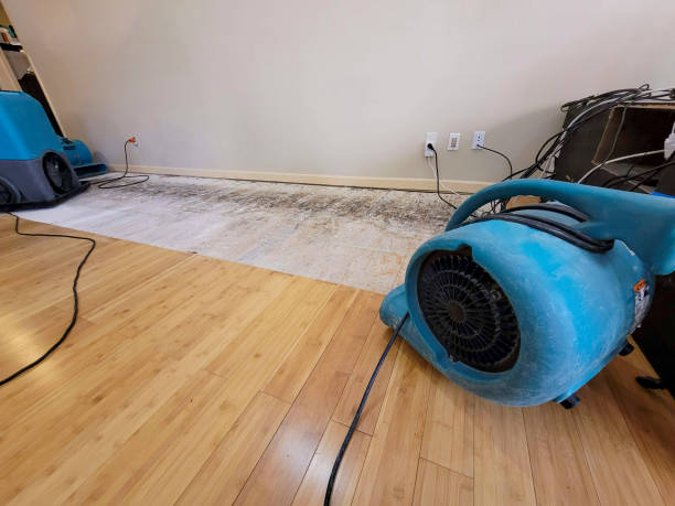 Professional Basement Flood Cleanup technician working in Plain City, UT